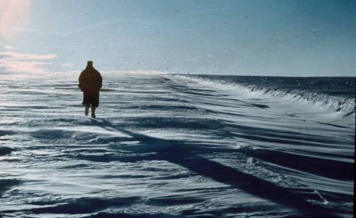 Hayes glacier